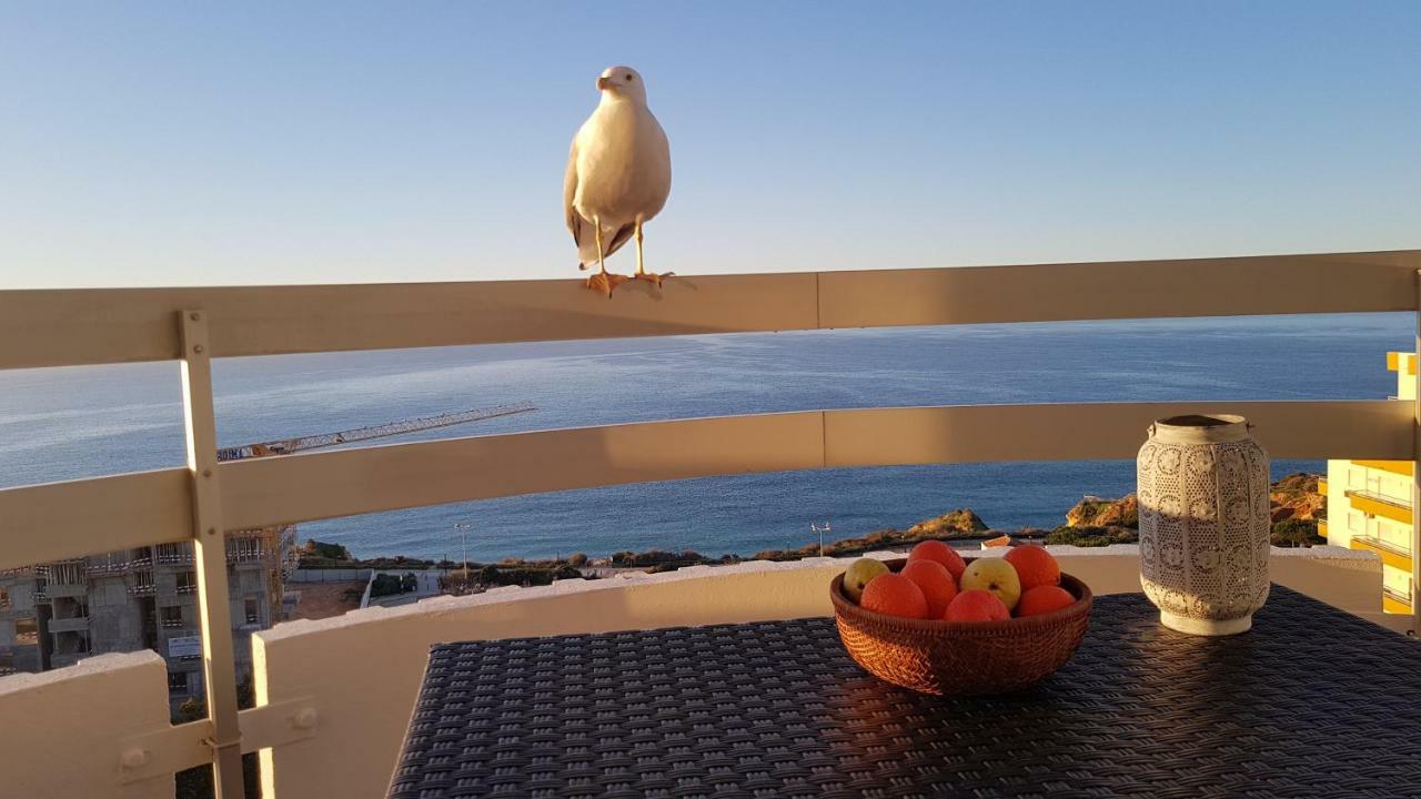 Ma Vue Mer En Algarve 포티마오 외부 사진